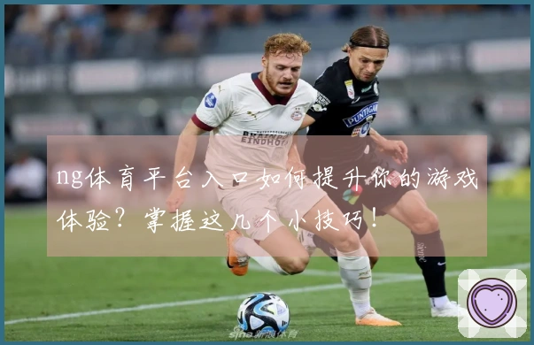 ng体育平台入口如何提升你的游戏体验？掌握这几个小技巧！